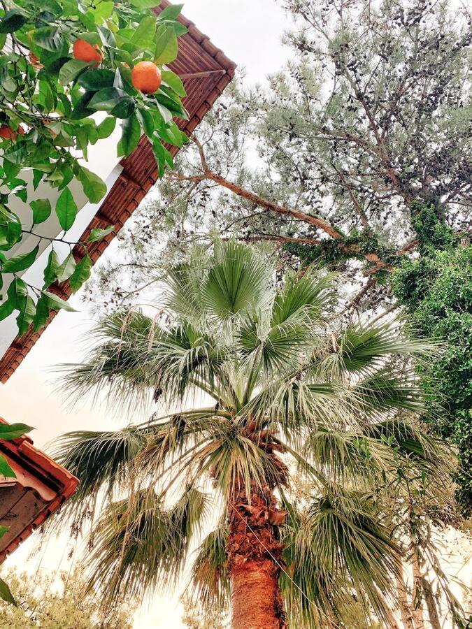 Hotel Villa Anais (Adults Only) Prínos Dış mekan fotoğraf